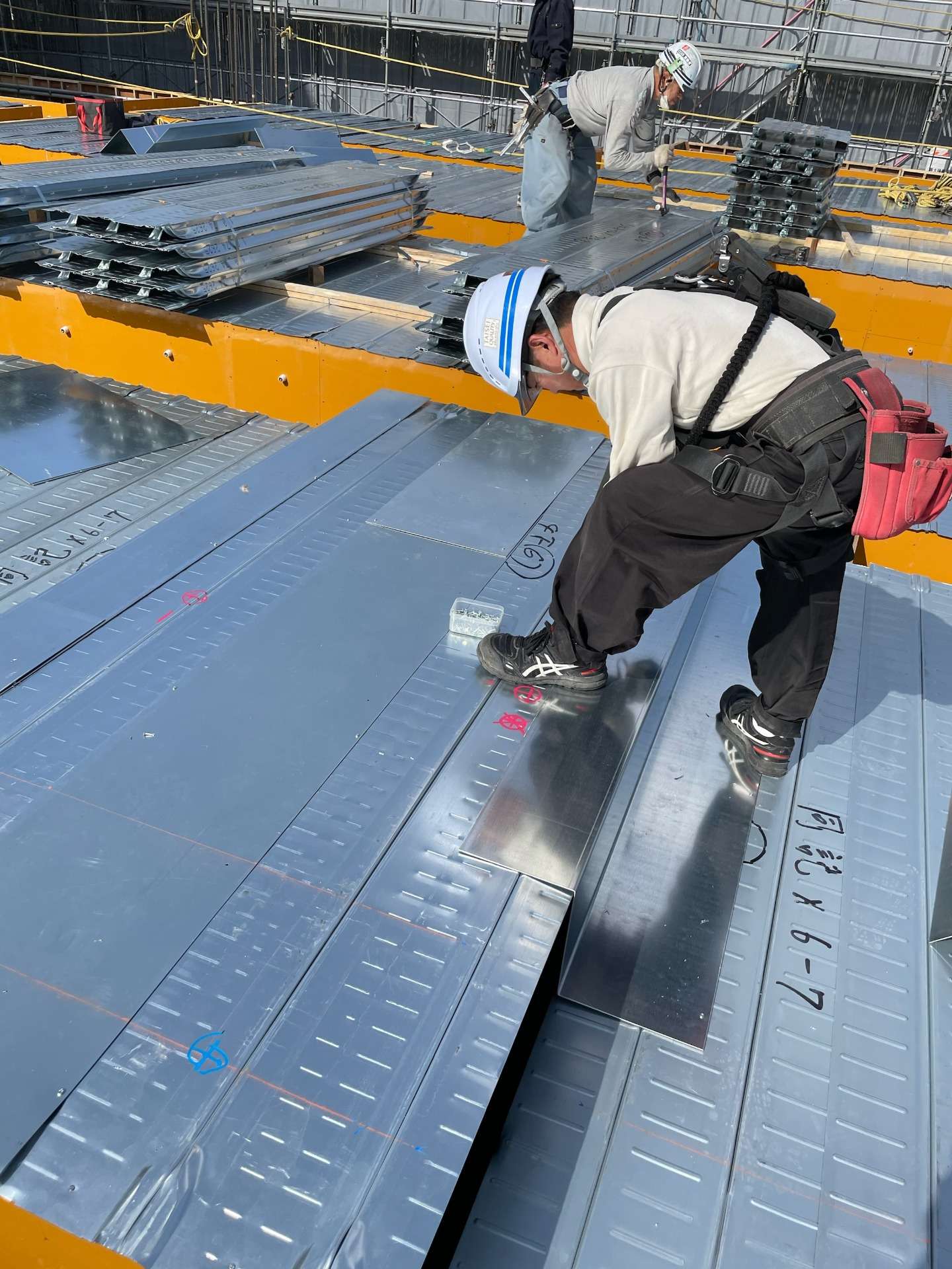 型枠大工(未経験者)